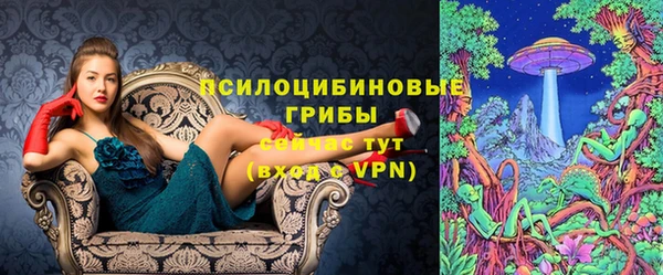 ешки Алзамай