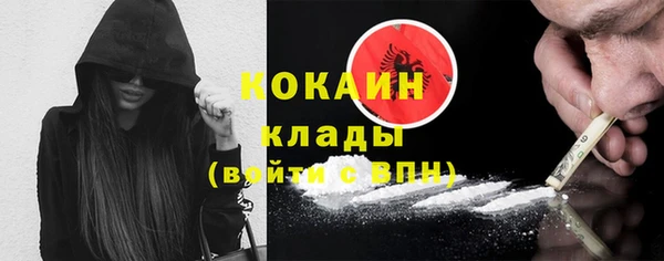 ешки Алексин