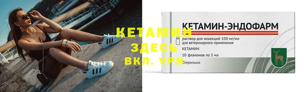 ешки Алексин