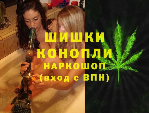 ешки Алзамай