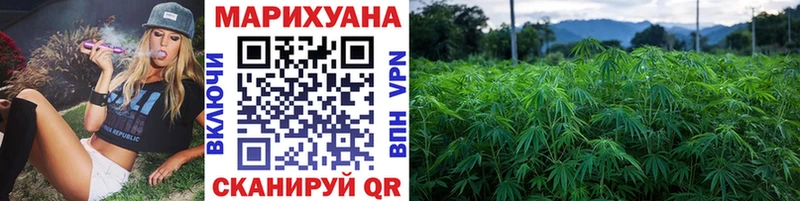 kraken как войти Болхов Марихуана OG Kush